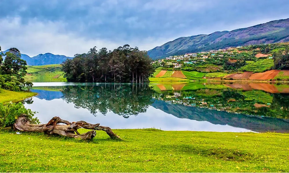 kerala and ooty tour package